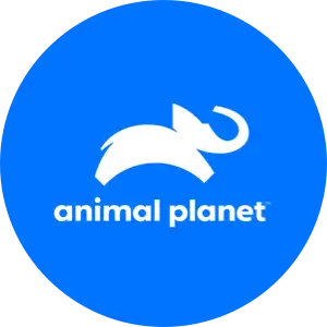 Animal-Planet