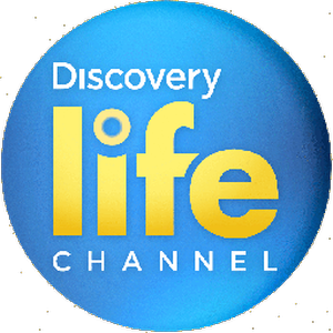 Discovery Life