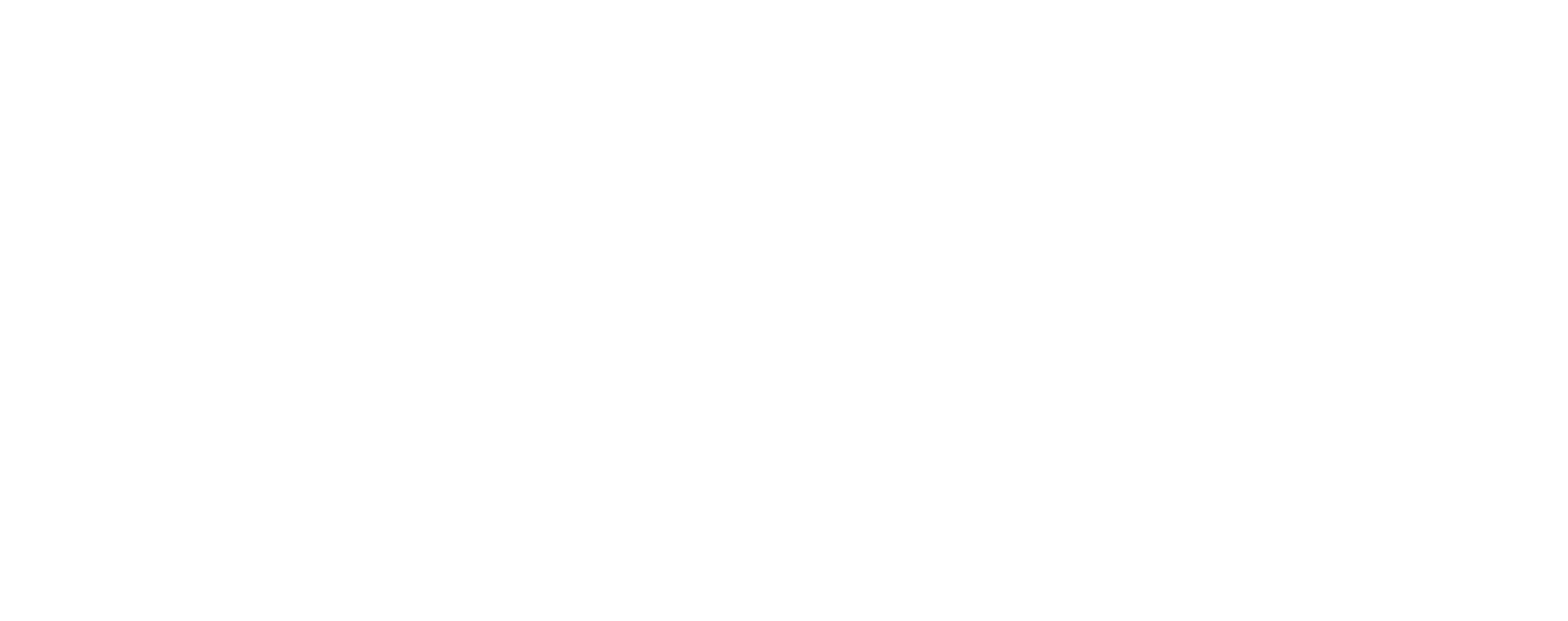 ninet